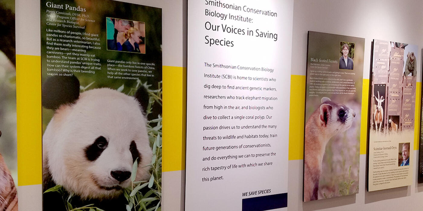 Image featuring wall panels of conservation stories