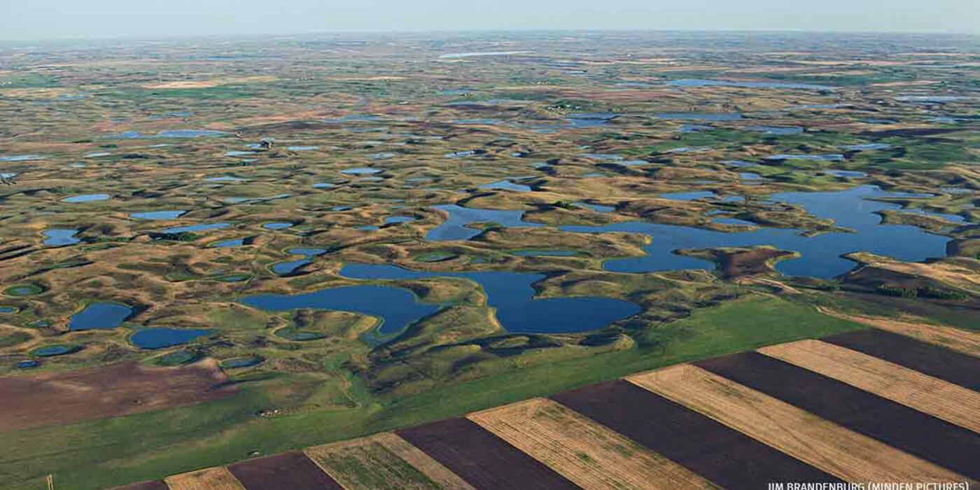 Prairie potholes in North Dakota