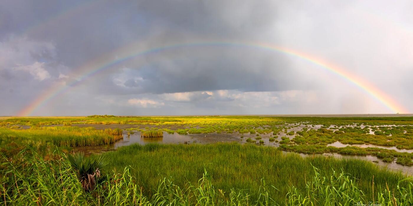 Coastal wetlands in Aransas National Wildlife Refuge, Calhoun County, Texas
