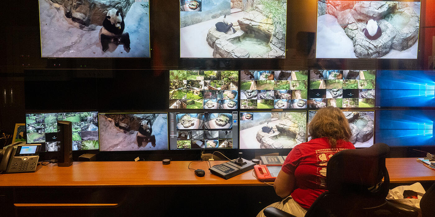 Volunteer stationed in front of a media station with several large monitors.