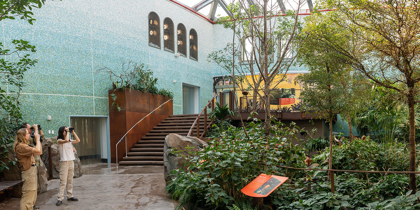 Two Zoo guests in the Bird House's coffee farm aviary