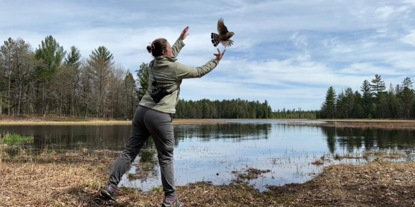 Scientist releasing a bird over a lake