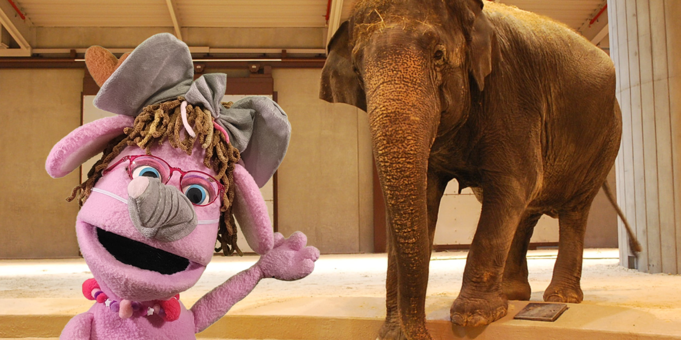 Pinky puppet and elephant