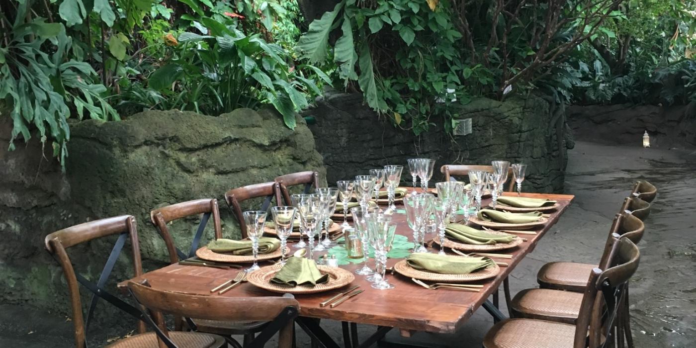 A long table set for a meal and surrounded by chairs set up in the rainforest of the Smithsonian's National Zoo's Amazonia exhibit