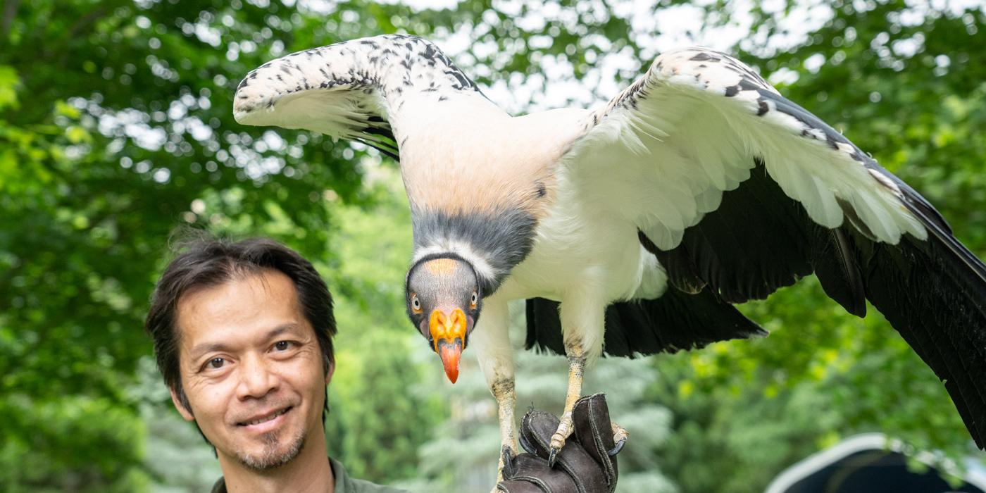 A bird behaviorist (Phung Luu) holds a large vulture-like bird with its wings outstretched