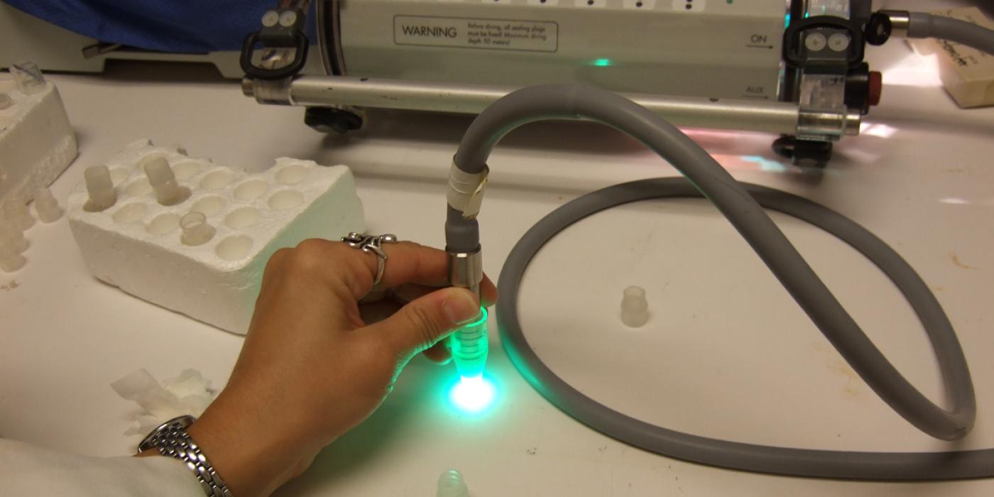 scientist performing coral research technique