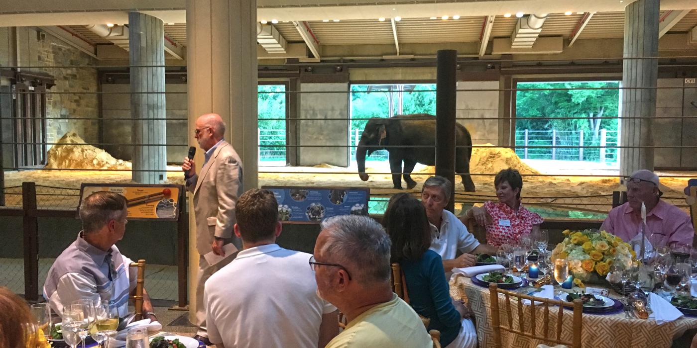 在动物园大象社区中心，人们围坐在桌子旁，俯瞰大象
