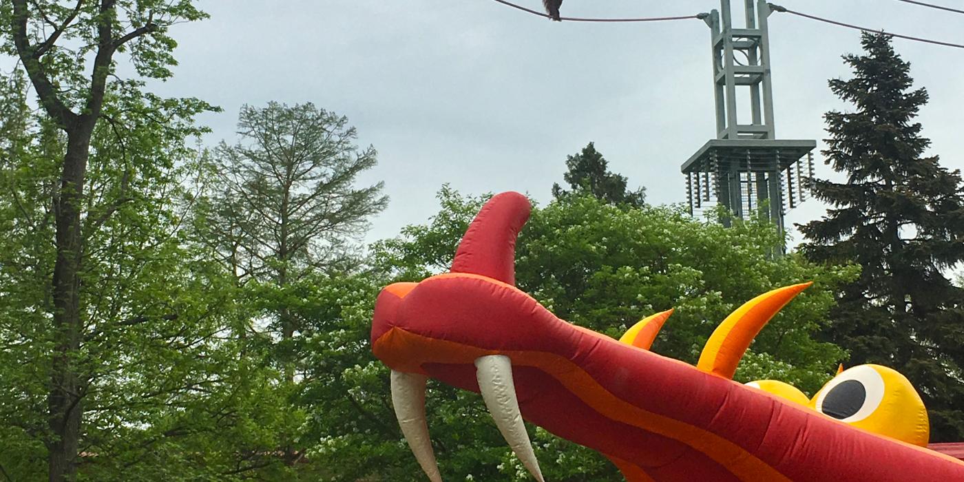 A dragon-shaped inflatable castle set up below the O-line where two orangutans cross the sky at the Smithsonian's National Zoo