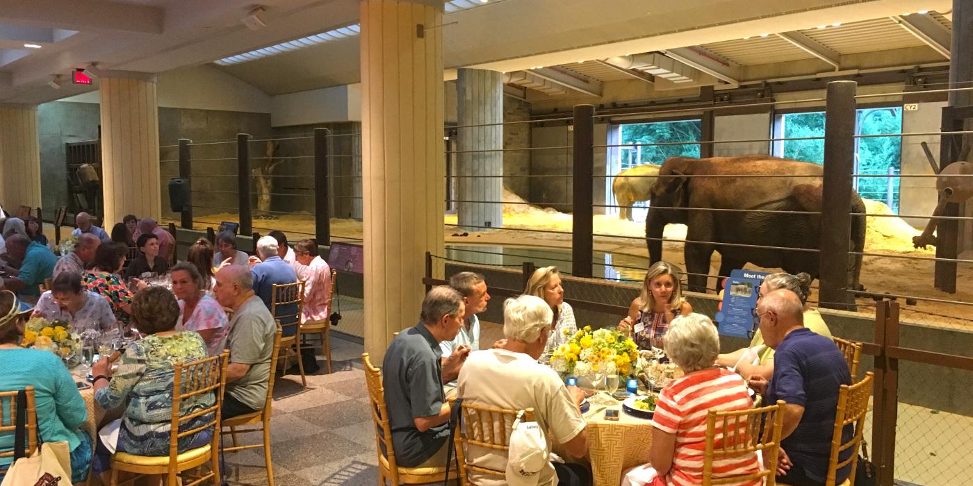 动物园大象社区中心举行私人餐饮活动时，人们围坐在桌子旁与大象一起用餐