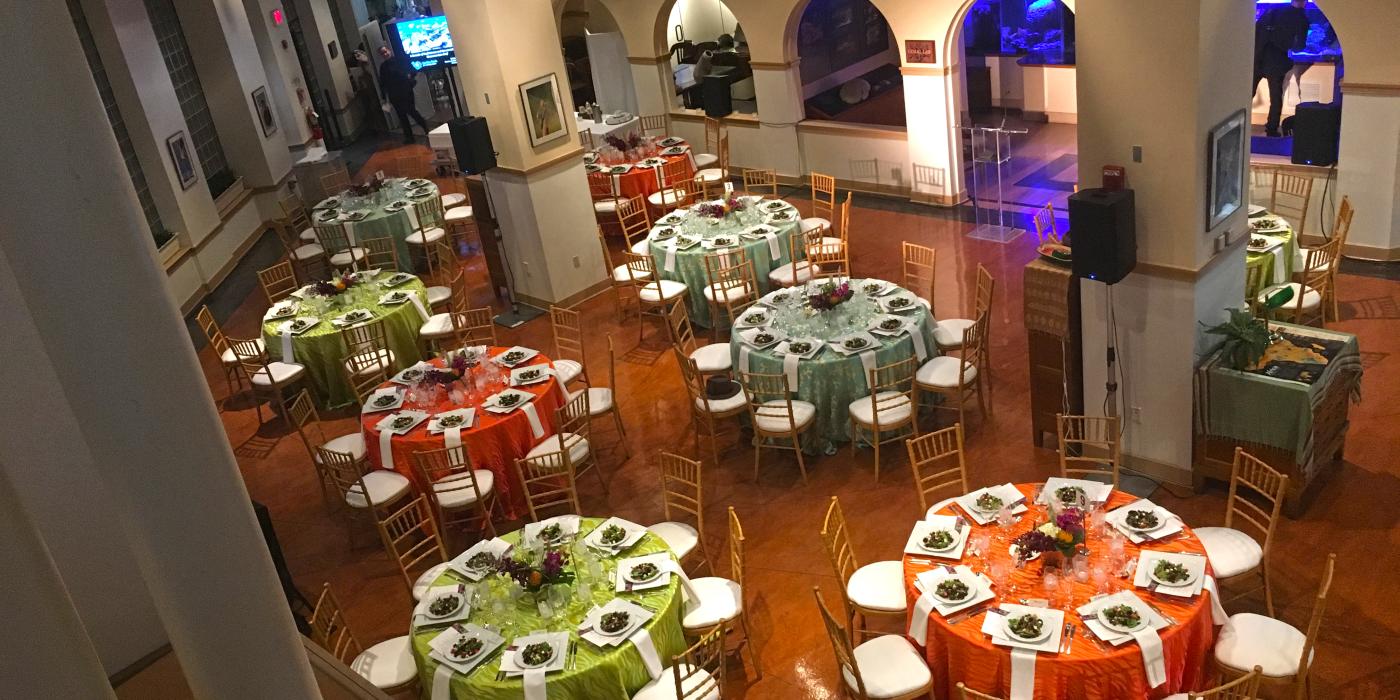 史密森尼国家动物园亚马逊河科学馆为私人餐饮活动装饰的彩色圆桌鸟瞰图