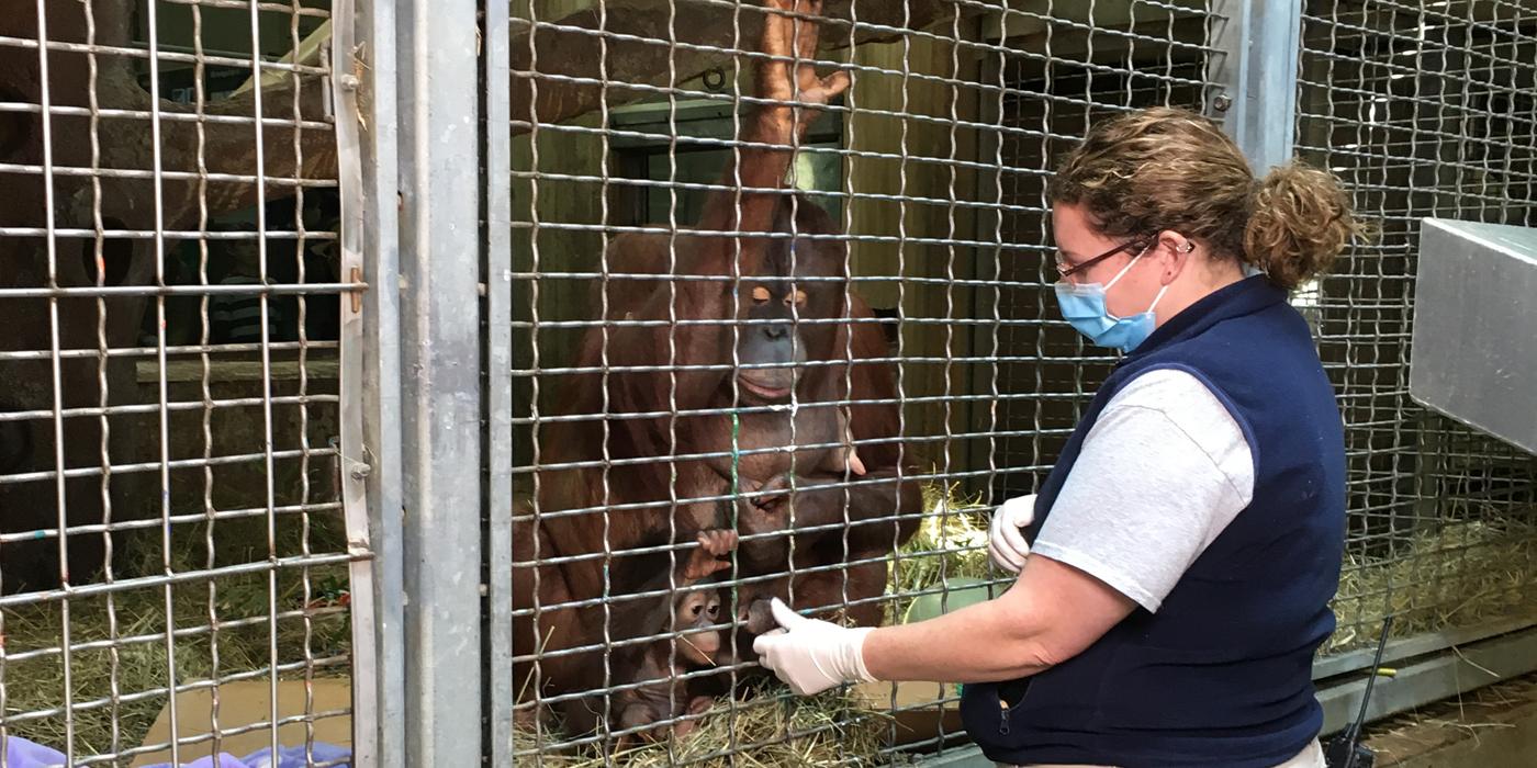 Keeper Erin Stromberg works with Redd and Batang