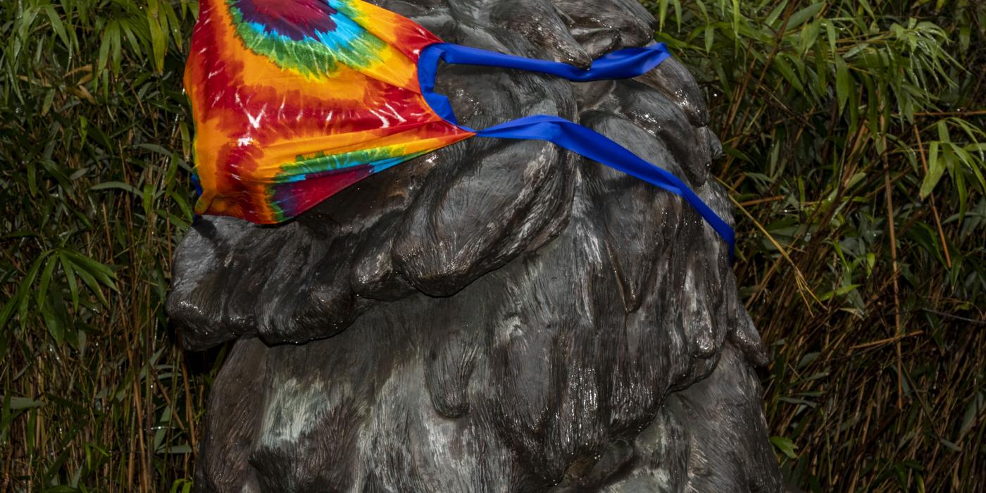 Lion statues at the Zoo's entrance are sporting tie-dyed face coverings. Lion statue at Zoo's entrance with face covering.