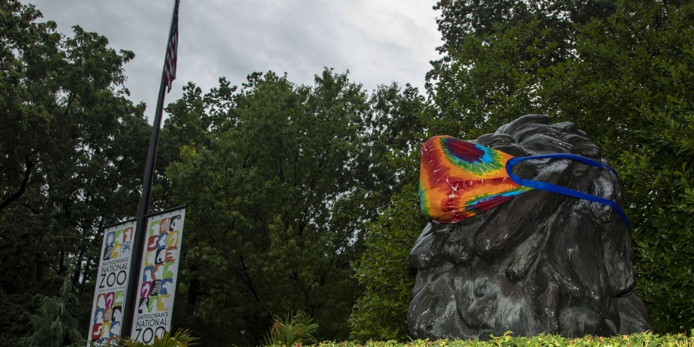 The Smithsonian's National Zoo reopened on July 24. The Smithsonian's National Zoo reopened on July 24.