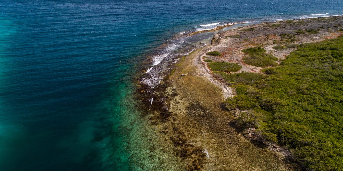 An aerial shot of a curving shoreline in Curacao with clear blue water and a grassy and sandy landscape