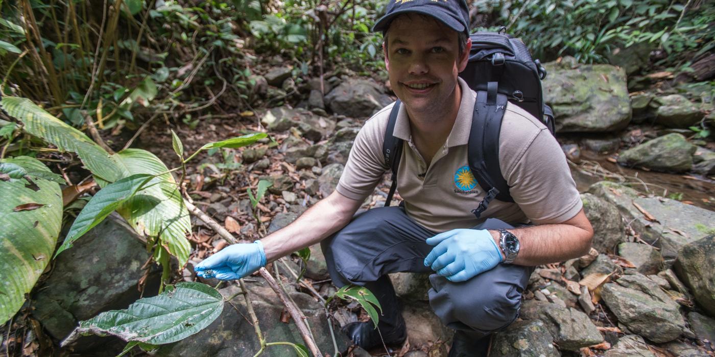 Brian Gratwicke, international program coordinator for the Panama Amphibian Conservation and Rescue Project, helps release Limosa harlequin frogs into the wild in the first-ever release trial for the species. Scientist Brian Gratwicke helps release limosa harlequin frogs into a Panama forest