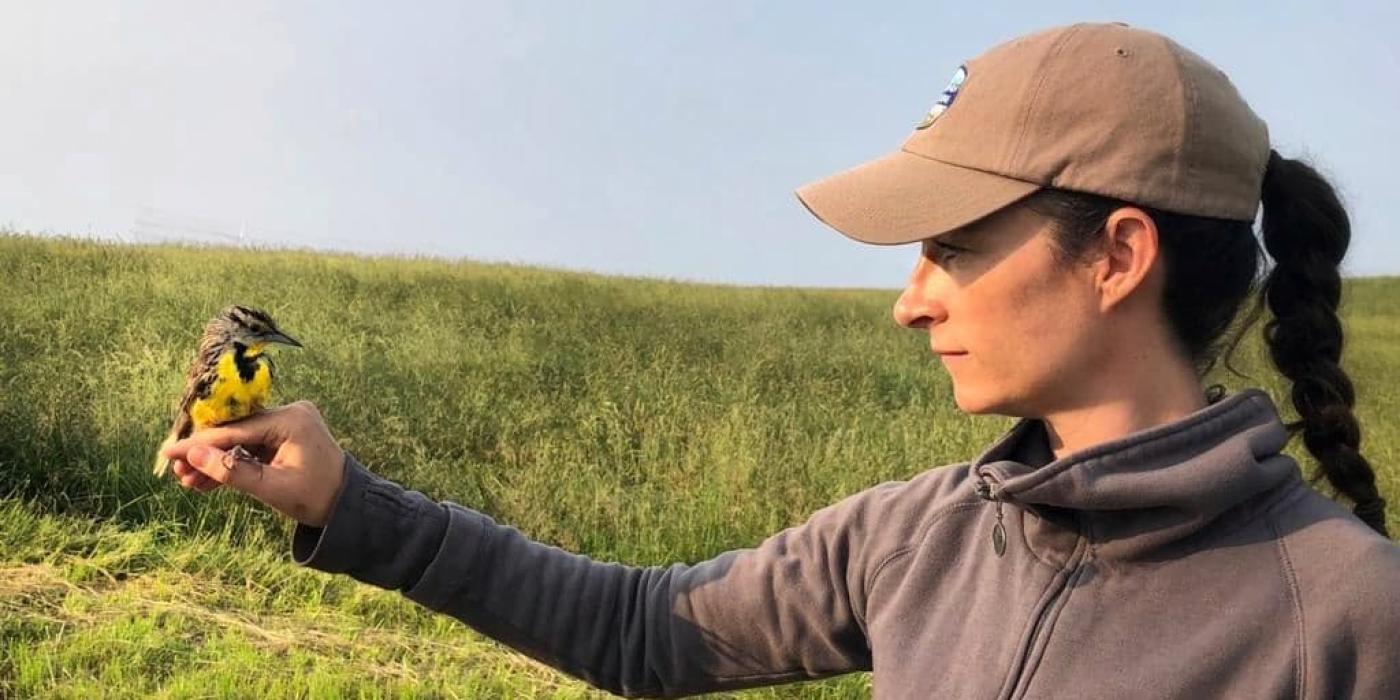 Virginia Working Landscapes program director Amy Johnson holds an eastern meadowlark.
