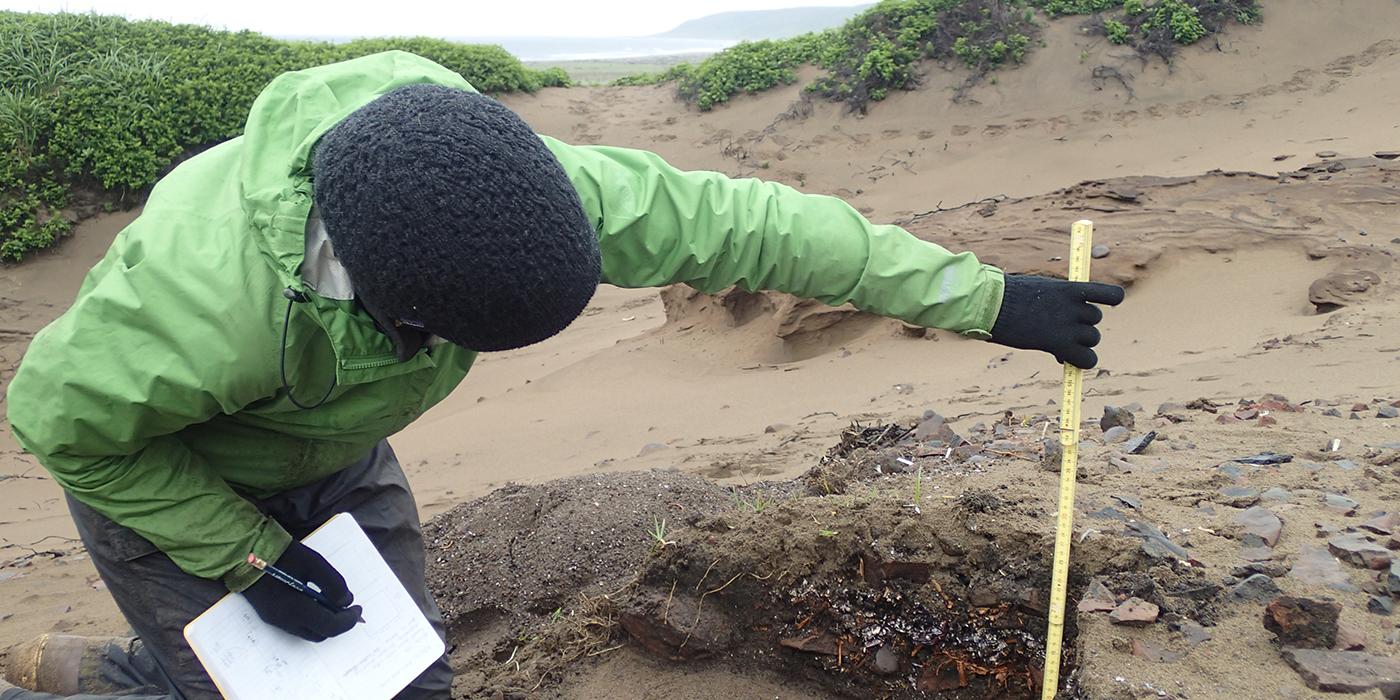 Researcher Catherine West measures an archaeological site on Alaska’s Chirikof Island