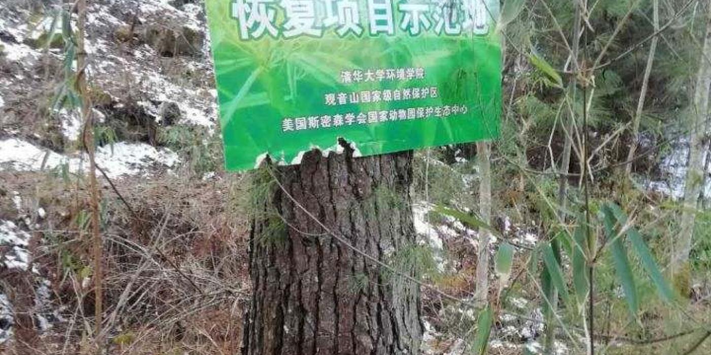 A sign marking a bamboo restoration plot in Guanyinshan Nature Reserve