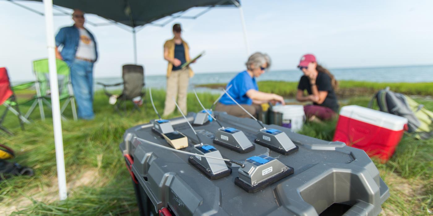 GeoTrak GPS/Argos satellite tags sit on a table. Scientists in the background examine a brown pelican.