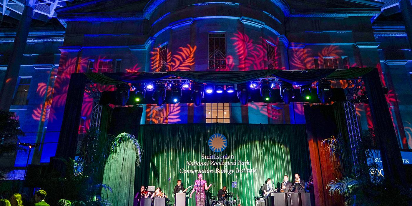 A band plays on a colorfully lit stage at the Smithsonian's National Zoo's Monkey Business Gala