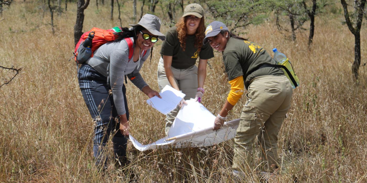 A group of three researchers hold a net and examine it for insects during a field project in Kenya