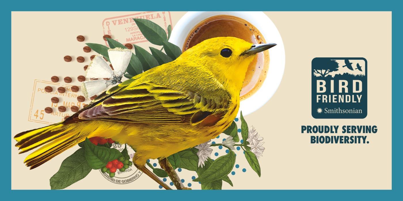 An illustration of a yellow bird overlaid with a coffee plant and a cup of coffee. The image is surrounded by a blue border and the right side features the Bird Friendly Coffee logo and text "Proudly Serving Biodiversity"