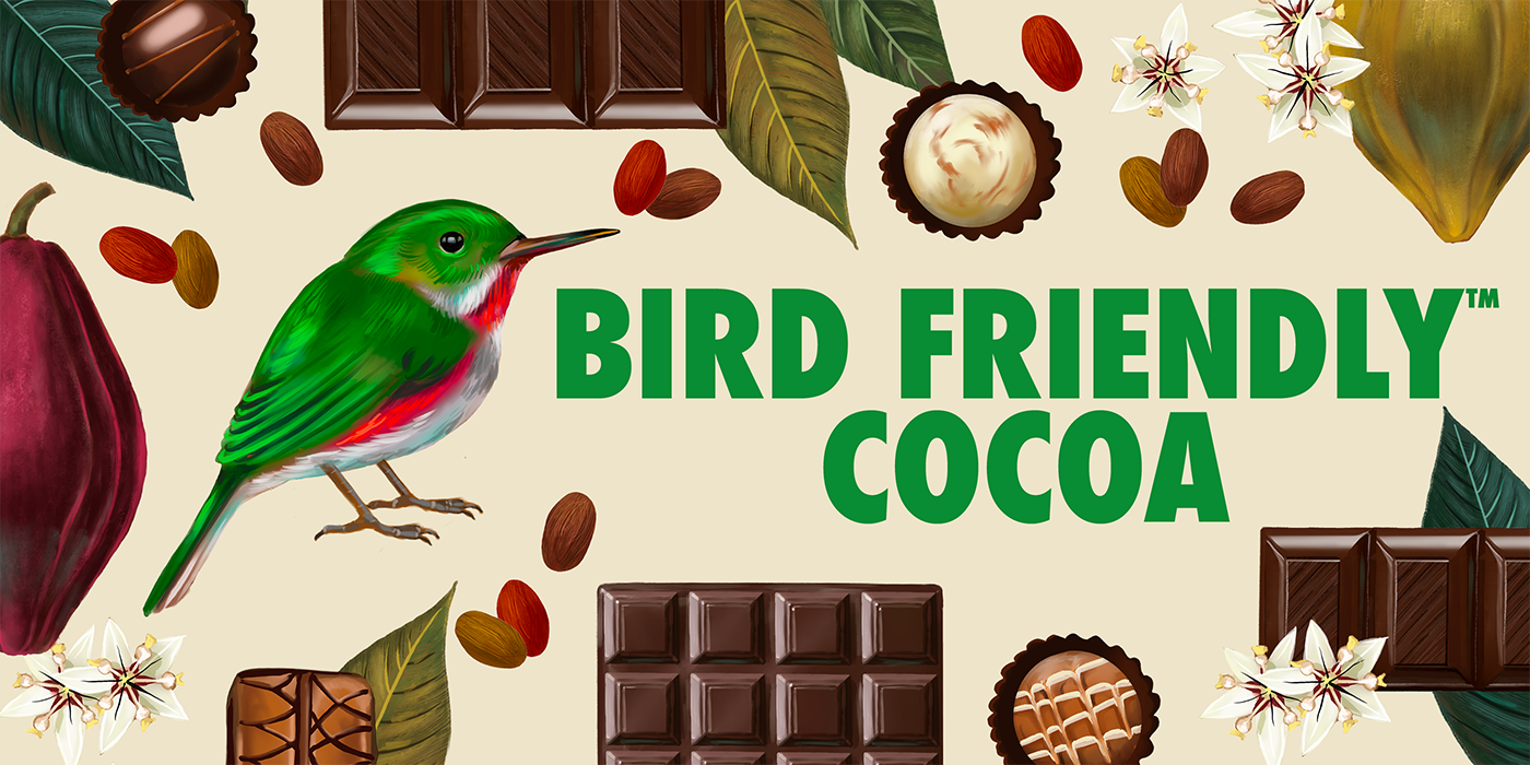 a graphic depiction of a small green bird and various small chocolates and chocolate bars and beans. The word "Bird Friendly Cocoa" are in green bold font.