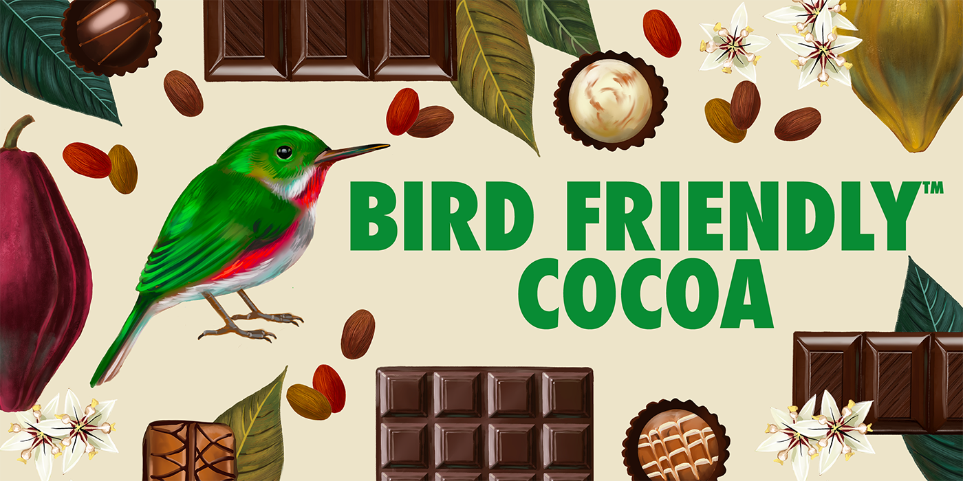 Bird of Coffee and Chocolate