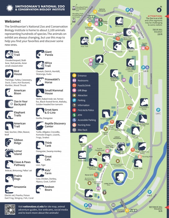 Making the Nashville Zoo Map — Carden Illustration